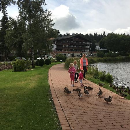Fewo Andresen Hahnenklee Goslar Ngoại thất bức ảnh