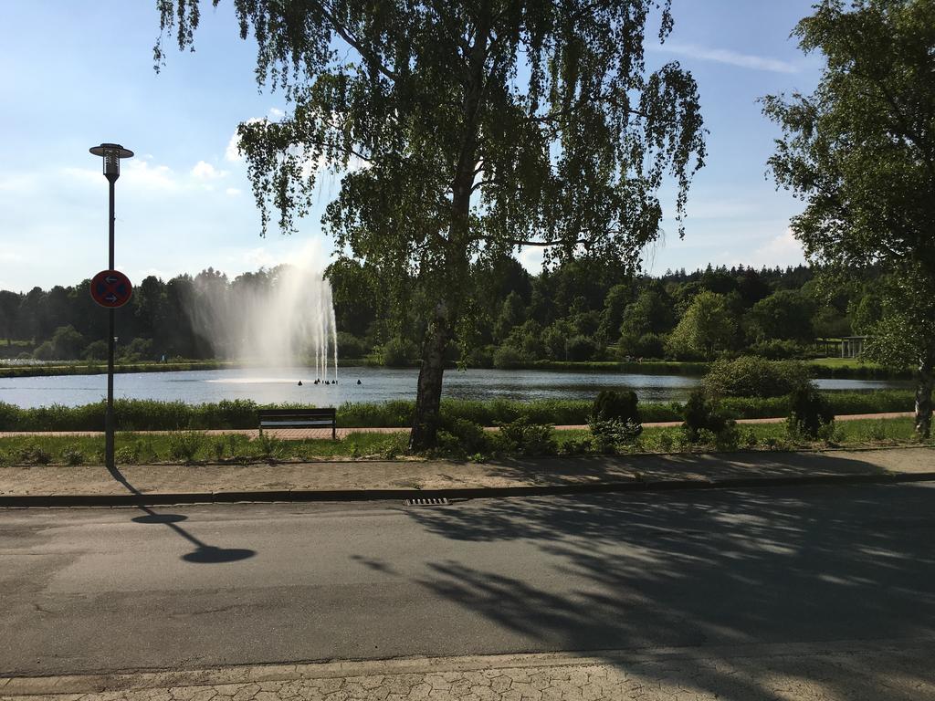 Fewo Andresen Hahnenklee Goslar Ngoại thất bức ảnh