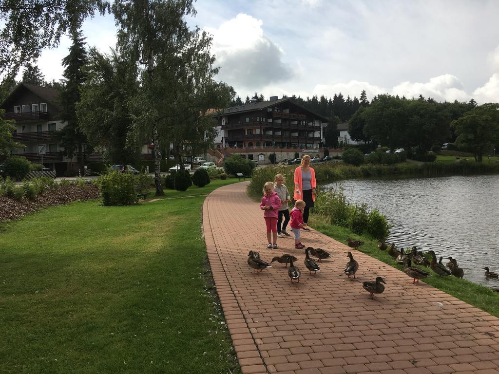 Fewo Andresen Hahnenklee Goslar Ngoại thất bức ảnh