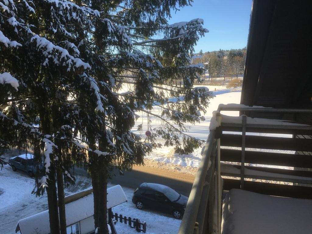 Fewo Andresen Hahnenklee Goslar Ngoại thất bức ảnh